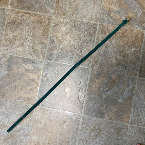 Green Suede Feel Skinny Belt - Picture 4 of 7